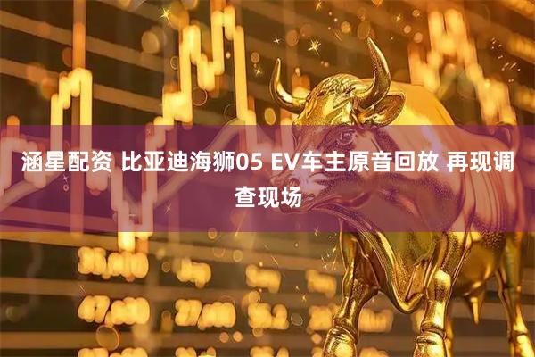 涵星配资 比亚迪海狮05 EV车主原音回放 再现调查现场