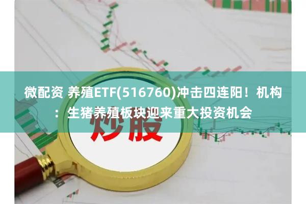 微配资 养殖ETF(516760)冲击四连阳！机构：生猪养殖板块迎来重大投资机会